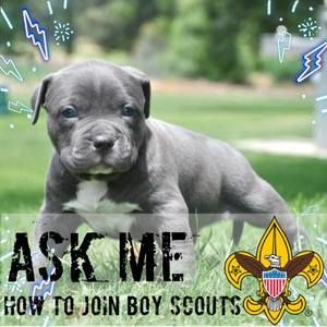 Meet your Posher, Jordan